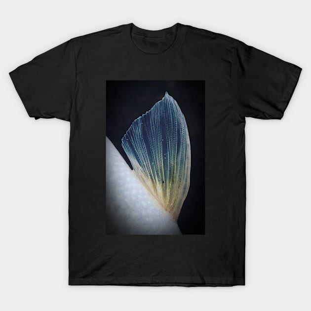 Fish Fin T-Shirt by jonesing